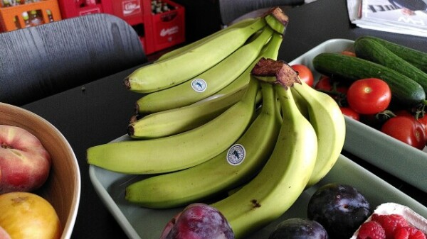 Eine runde Holzschale, zwei rechteckige Porzellanschalen in Mint. Diverses Obst und Gemüse liegt in den Schalen. Zwei Hände Bananen liegen dort - sehr grün.